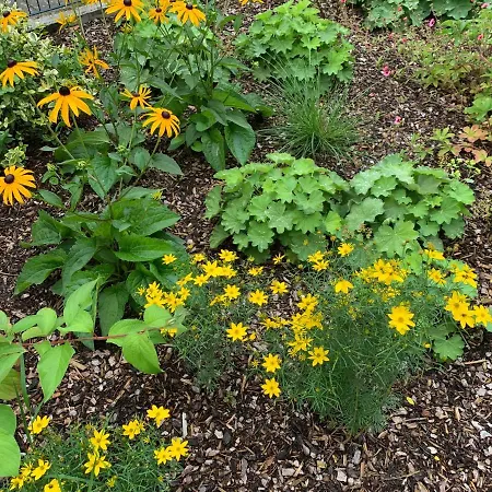 Am Haarhaus * Ostbevern