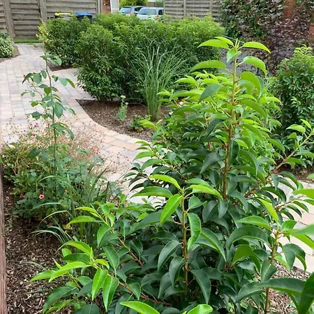 Am Haarhaus * Ostbevern