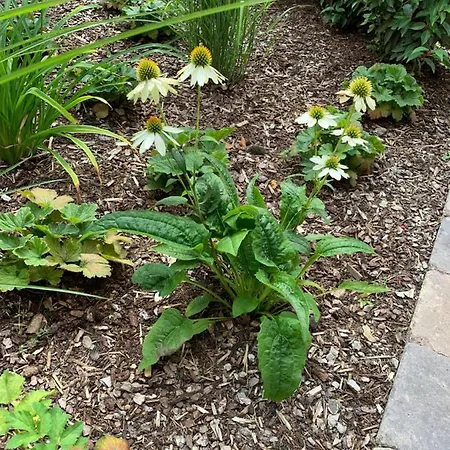 Am Haarhaus Ostbevern