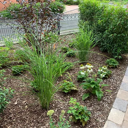 Am Haarhaus アパート Ostbevern