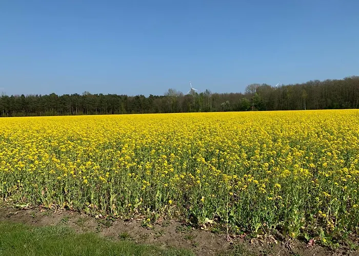 Am Haarhaus アパート