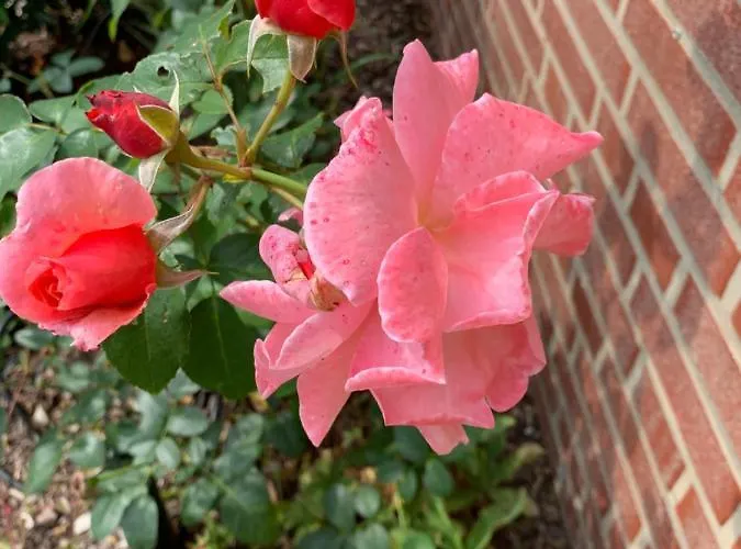 Lejlighed Am Haarhaus *