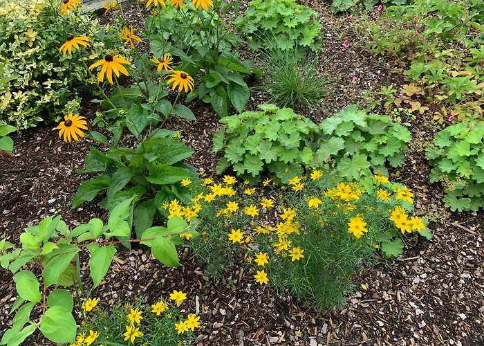 Am Haarhaus * Ostbevern