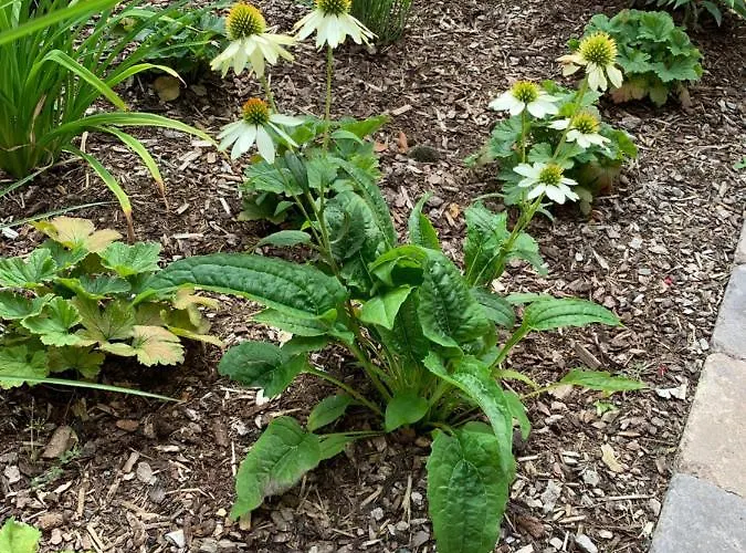 Am Haarhaus Ostbevern